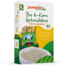 Pumpkin Organics - BIO 6-Korn Getreidebrei